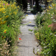 ...how about a Cottage Garden-style Border instead?